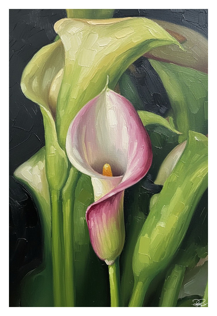 Oil painting of a pink and white flower with green leaves on a dark background